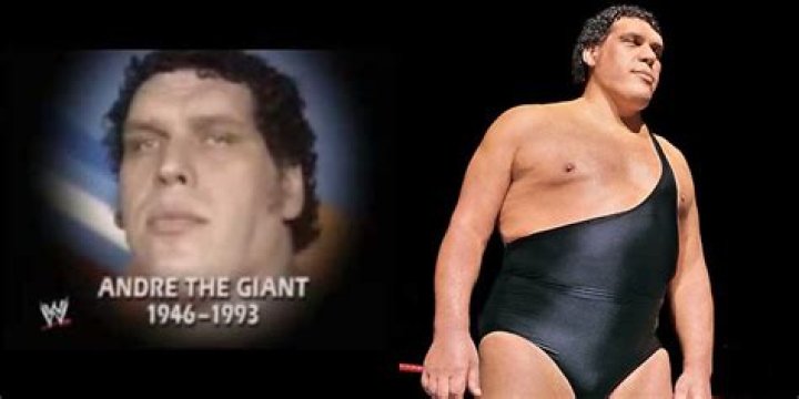26 Andre The Giant Facts You'll Hardly Believe Are True