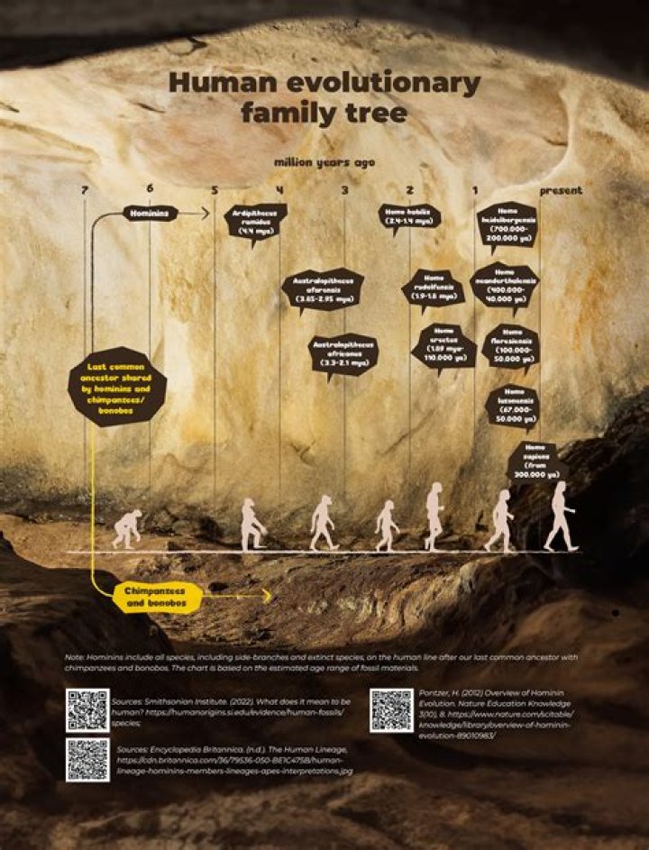A Finger Bone Is The Earliest Evidence of Humans Outside Africa