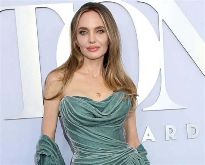 Angelina Jolie Is Reportedly ‘On The Prowl’ For Her 4th Husband: She’s ‘Putting The Word Out In High-Powered Circles’