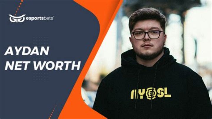 Aydan net worth, income and estimated earnings of Youtuber channel