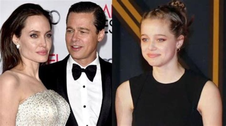 Brad Pitt and Angelina Jolie Were Planning to Adopt a 7th Child Before Divorce!