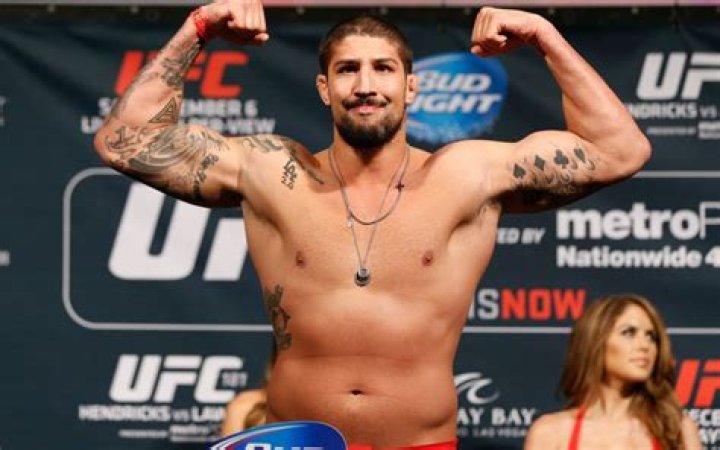 Brendan Schaub