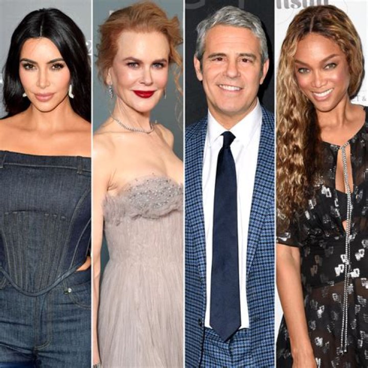 Celebrities Who Have Used Surrogates to Welcome Babies: Paris Hilton, Rebel Wilson and More