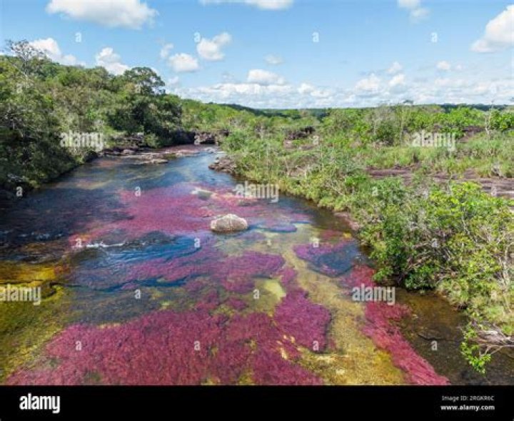 Colombia's Stunning River Of Five Colors