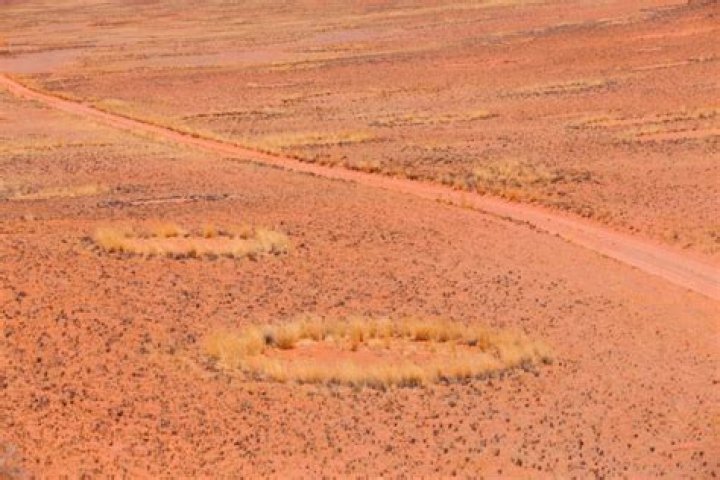 Fairy Circles, The Mysterious Rings Found All Over The World