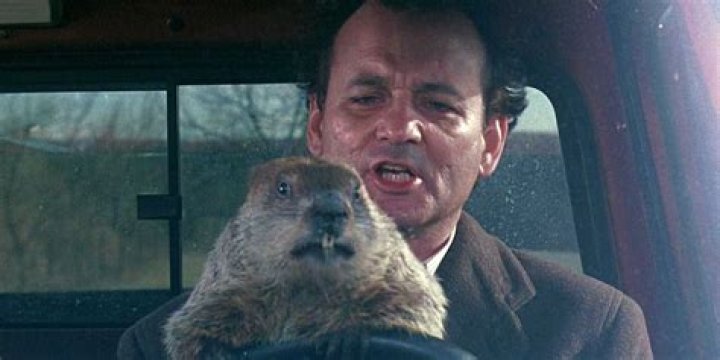 How Long Was Phil From 'Groundhog Day' Stuck In A Time Loop?