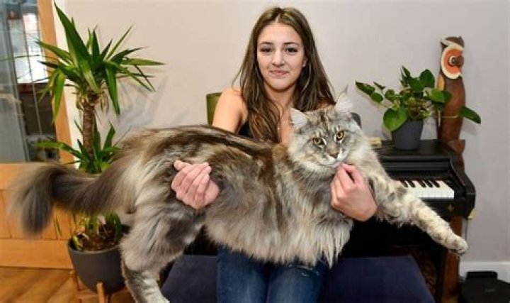 How tall is Carrie Coon