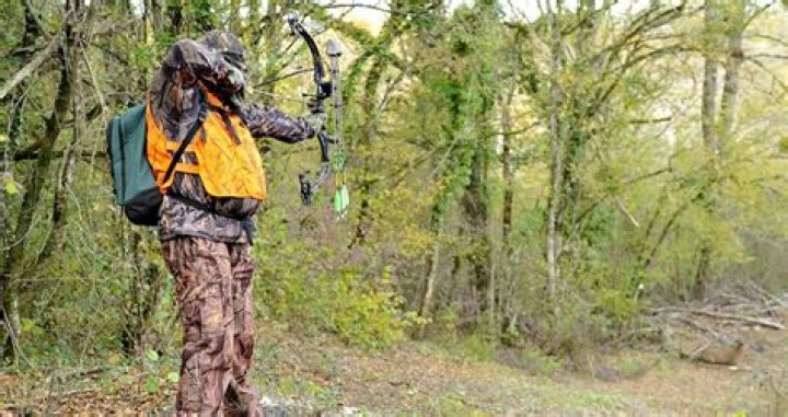 Idaho Man Finds Remains Of Bow Hunter Missing Since 1968