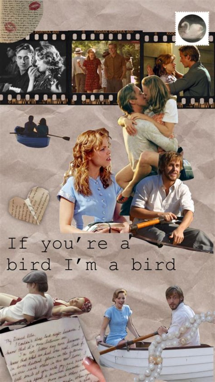 If You're a Bird, I'm a BirdThis Couple Reenacted ‘The Notebook’ for Their Engagement Photos — and the Results Are EVERYTHING