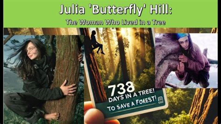 Julia ‘Butterfly’ Hill, The Activist Who Lived In A Tree For 738 Days