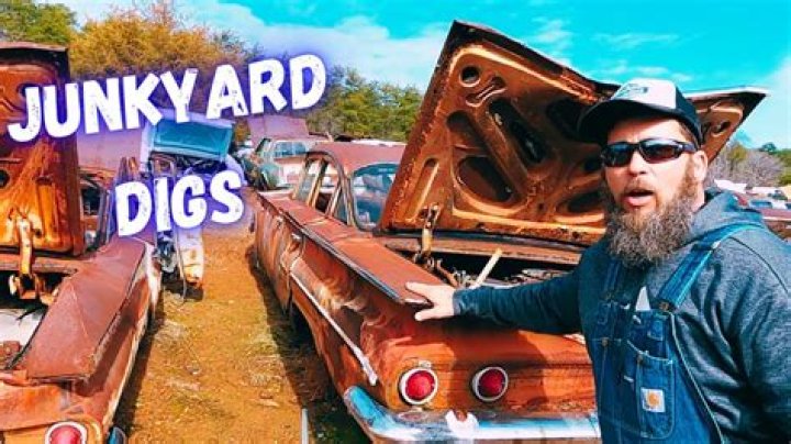 Junkyard Digs Net Worth and Earnings