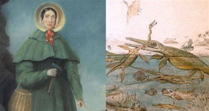 Mary Anning, The Fearless Fossil Hunter Of 19th-Century England