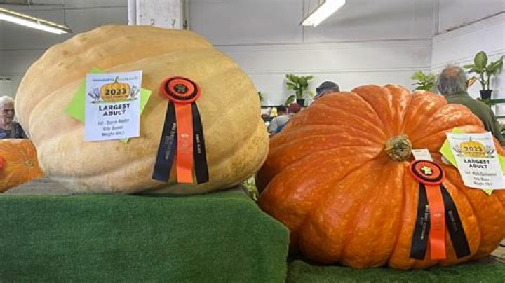 Minnesota Man Grows World-Record 2,749-Pound Pumpkin