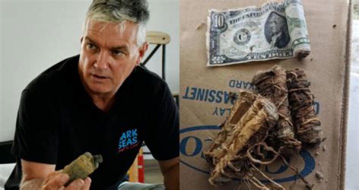 New Jersey Man Finds Depression-Era Cash In His Yard