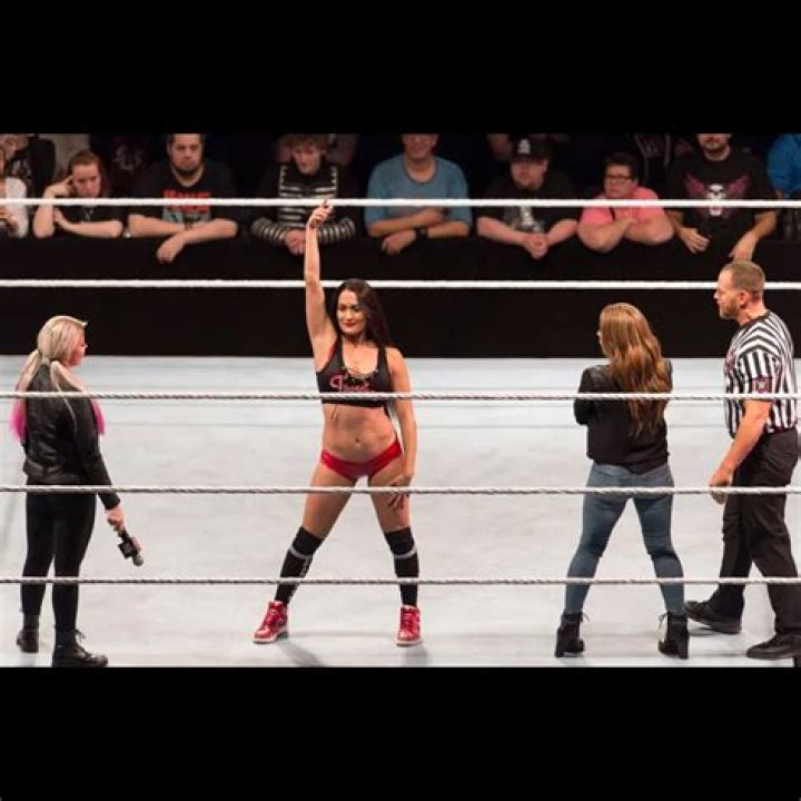 Nikki Bella Net Worth 2024: What Is The WWE Star Worth?