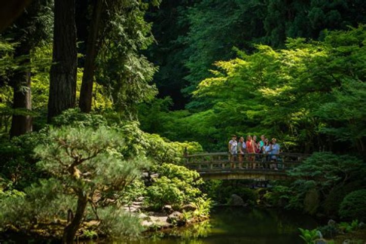 Portland's Breathtaking Japanese Gardens