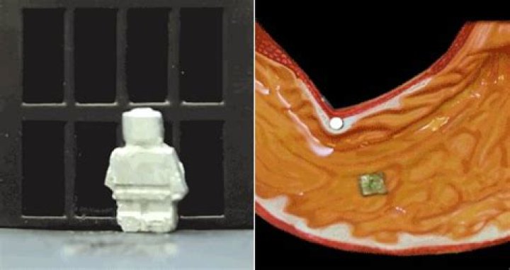 Scientists Create Robot That Can Melt And Reform On Command