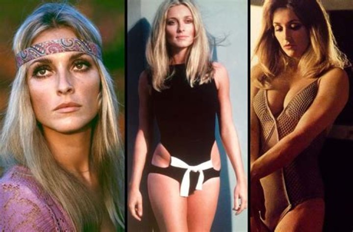 Sharon Tate - CelebNetWorth