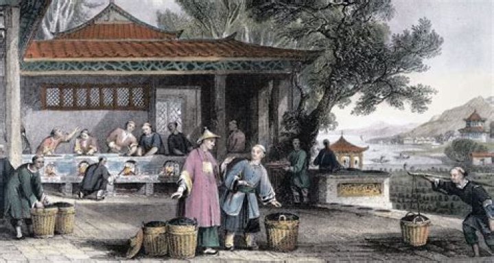 The British Botanist Who Destroyed 19th Century China's Economy By Stealing Tea
