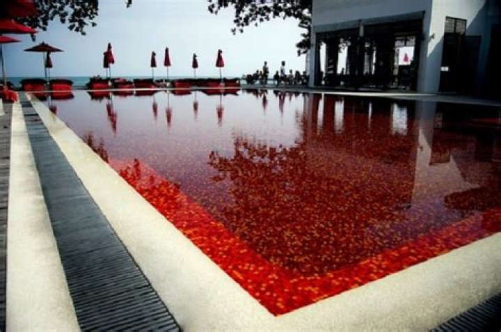 The Coolest Pools On Earth: Swimming In Brilliant Colors