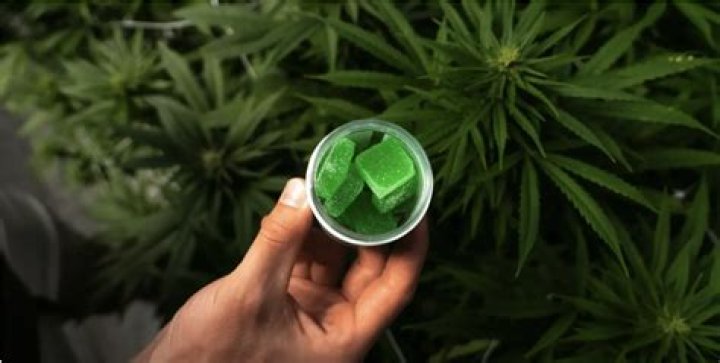 Tips for Taking Delta 9