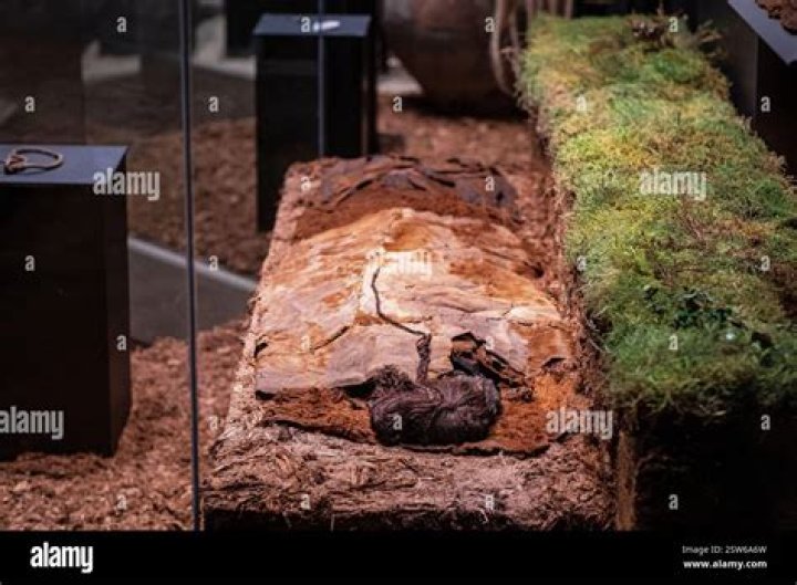 Tollund Man, The Eerily Preserved Bog Body Of Denmark