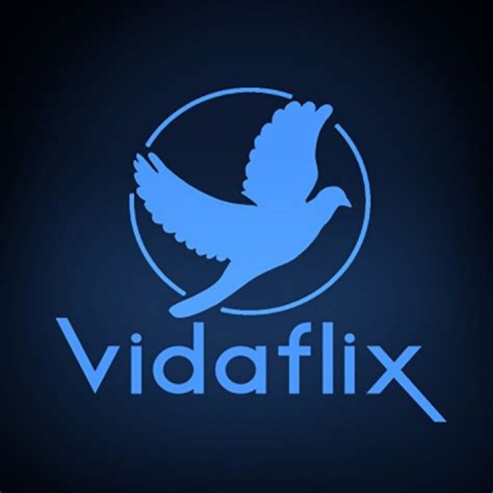 Vidaflix ශුද්ධ වටිනාකම සහ Youtuber නාලිකාවේ ඇස්තමේන්තුගත ඉපැයීම්