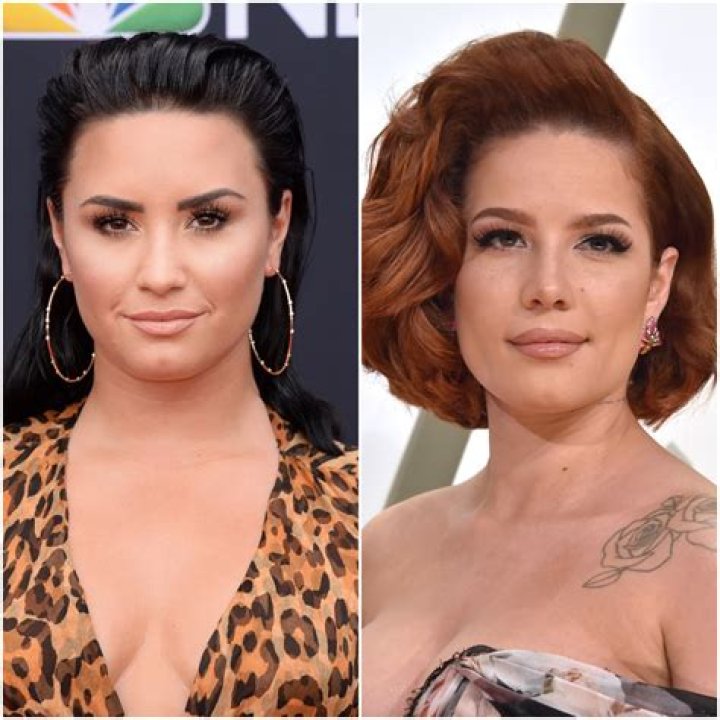 Women Supporting Women! Demi Lovato ‘Appreciates’ Halsey’s Relatable Makeup-Free Photos